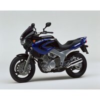 YAMAHA TDM 850 1999-2001